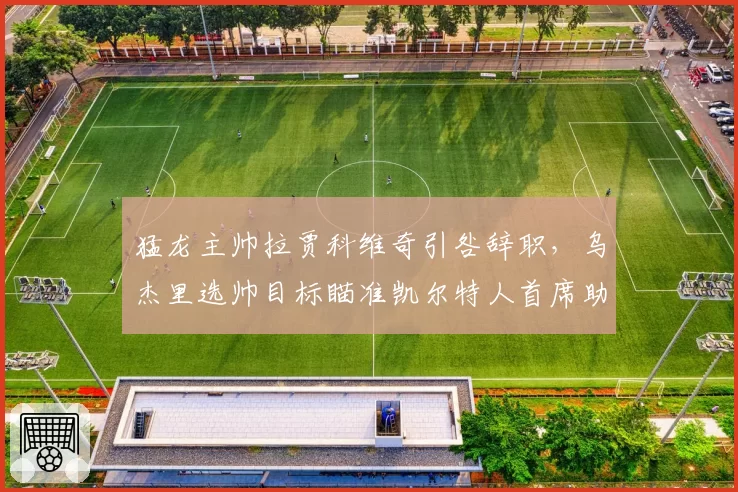 猛龙主帅拉贾科维奇引咎辞职,乌杰里选帅目标瞄准凯尔特人首席助教?