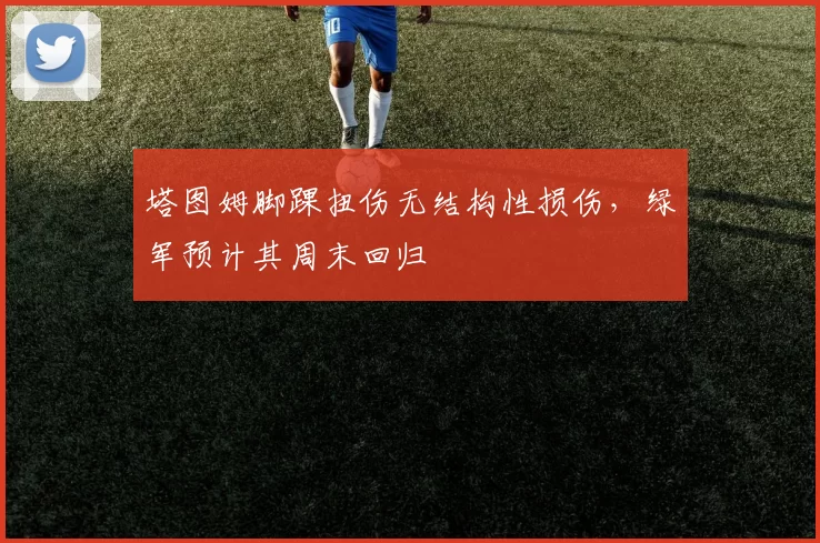 塔图姆脚踝扭伤无结构性损伤，绿军预计其周末回归